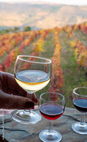 Tasting of Portuguese fortified port wines  produced in Douro Valley with colorful terraced vineyards on background in autumn, Portugal