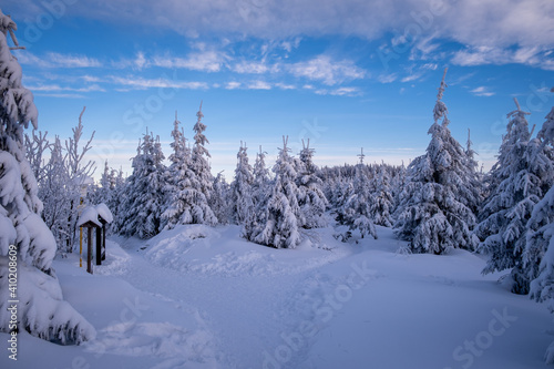 Beautiful winter landscape. Trees covered in snow. Blue sky. Path in winter forrest. Beautiful winter forrest full of snow. 
