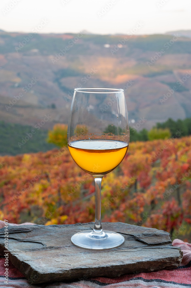 Glass of Portuguese white dry wine, produced in Douro Valley and old terraced vineyards on background in autumn, wine region of Portugal