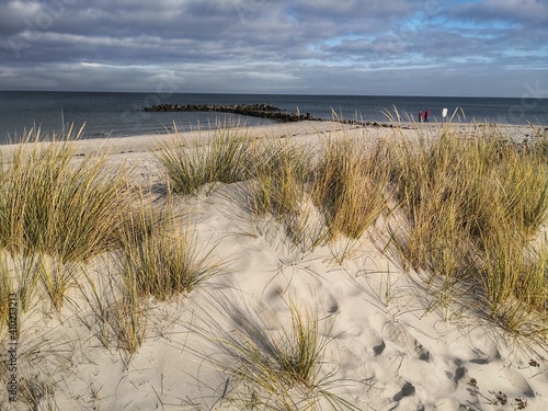 view of ocean with sandy beach and marram grass © fotofox33
