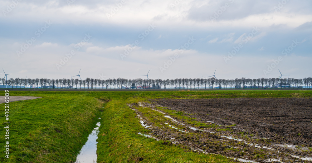 Panoramic landscape with poplar trees and modern windmills
