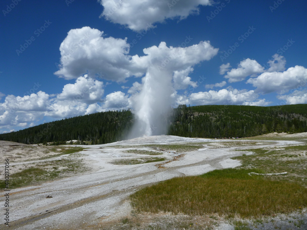 A geyser erupting at Yellowstone National Park on a sunny day with puffy clouds