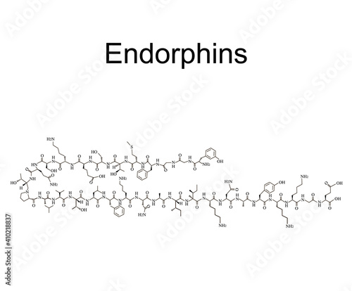 Endorphins hormone. Mood hormone endorphins molecular chemical formula. Vector illustration