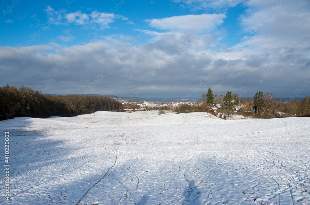 Winter landscape on a sunny day after first snowfall with trees in the background