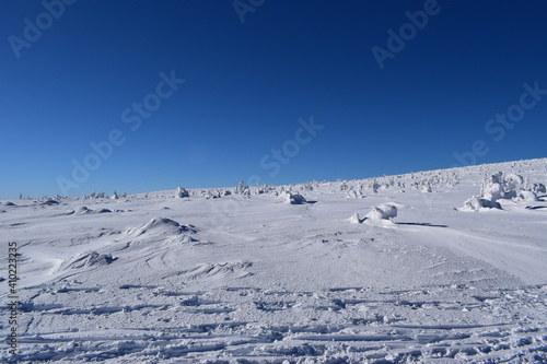 snowy land or winter on a beautiful sunny and cold day. 