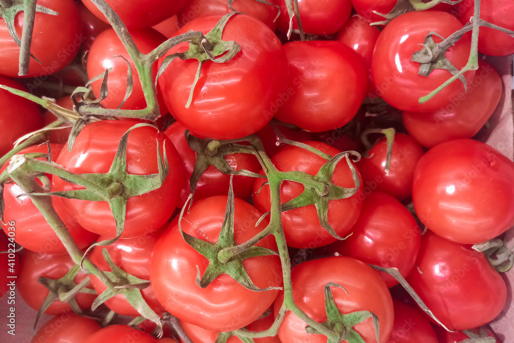 Red ripe tomatoes with a green branch. Abstract natural background from tomatoes.