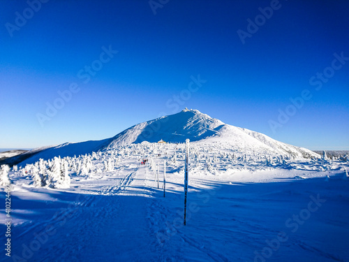 snowy land or winter on a beautiful sunny and cold day. 