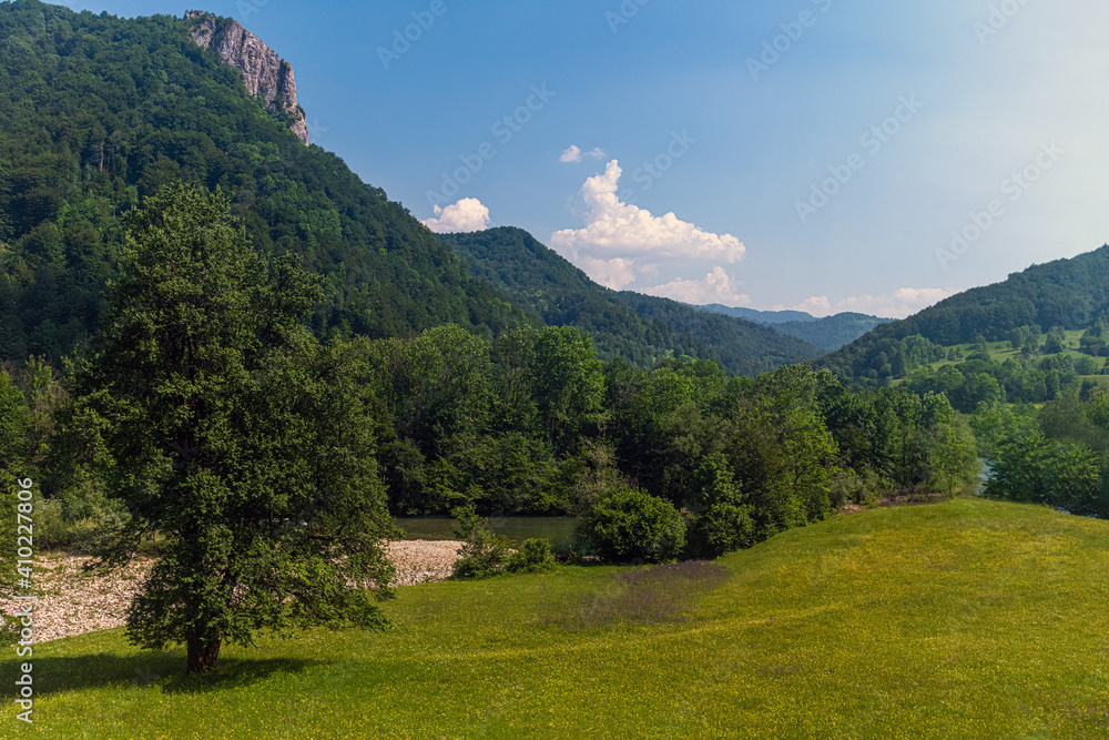 Landscape with a beautiful mountain river in Montenegro