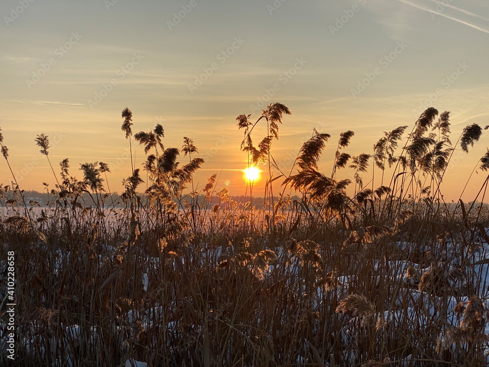 Obraz premium View of the frozen Białe lake near Włodawa with a large amount of snow view of the reeds just before sunset elephant, sun orange golden hour