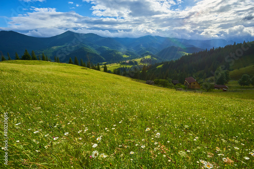 springtime in the alps