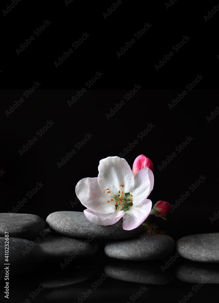 Spa stones and pink flowers on black background. Spa stones and pink flowers on black background.