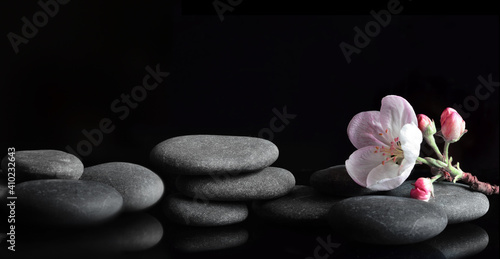 Spa stones and pink flowers on black background.