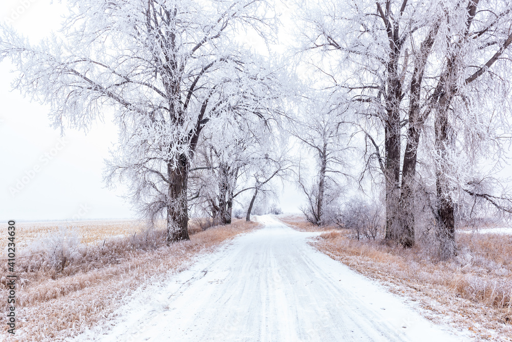 road in winter