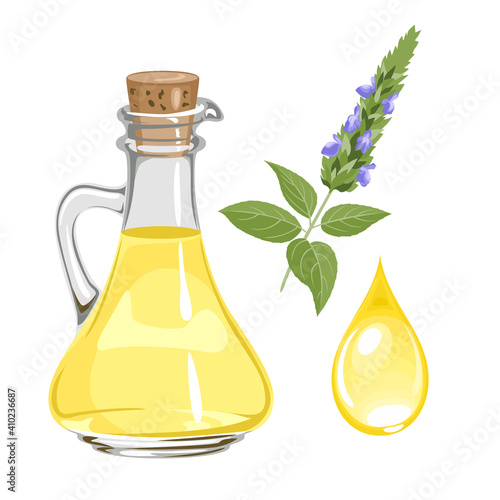 Chia seed oil in glass bottle, drop and flowering green plant  isolated on white. Vector illustration of healthy food in cartoon flat style.
