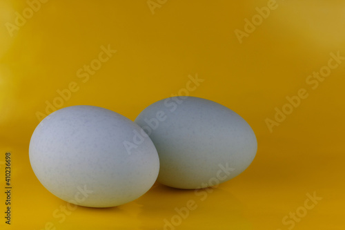 two organic, blue heirloom egg set sideways on a bright yellow background, colors of the french country kitchen, easter or french country theme with copy space