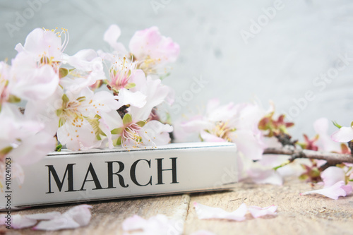 March Month and Almond Flowers on Wooden