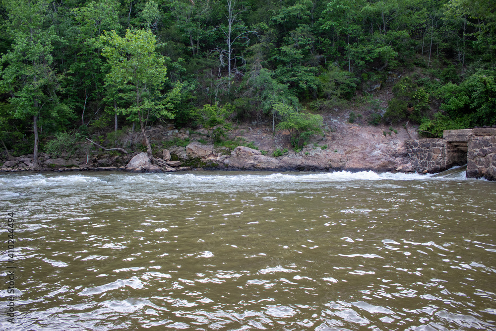 river flowing into the forest