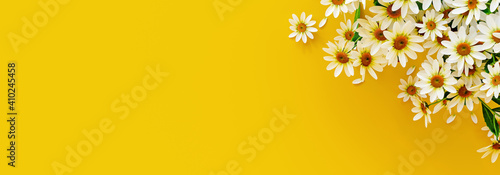 White flowers on yellow spring background 3D Rendering