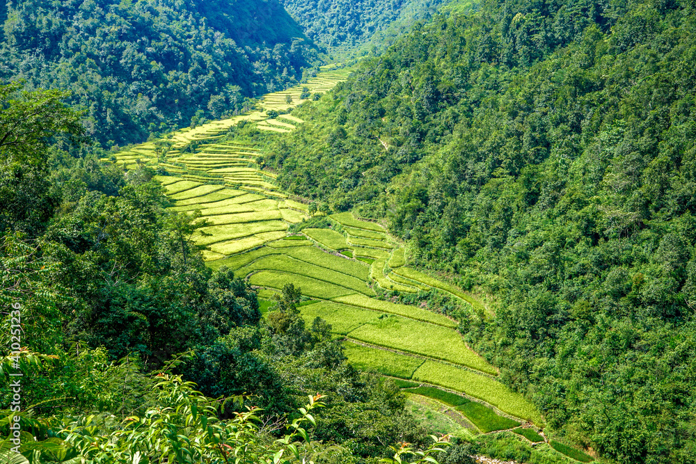 Nepal, beautiful landscape with rice fields near Tansen. Nepal, beautiful landscape with rice fields near Tansen.