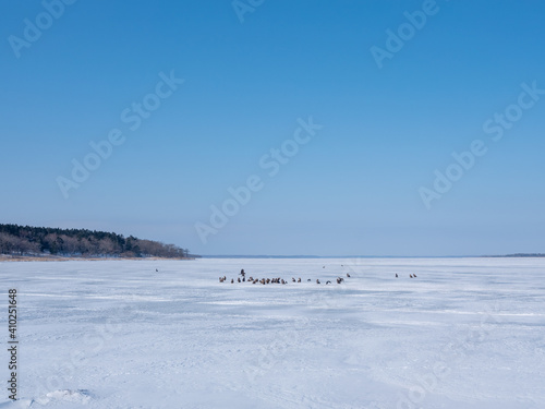 冬の風蓮湖 © makieni