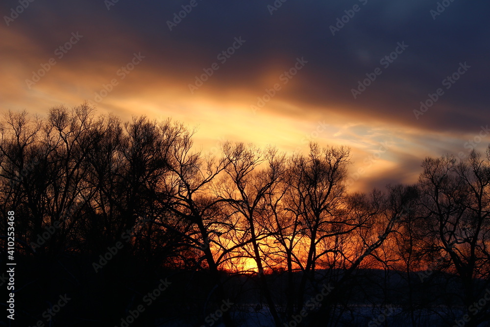 Colorful sunset behind the crowns of trees in winter Colorful sunset behind the crowns of trees in winter