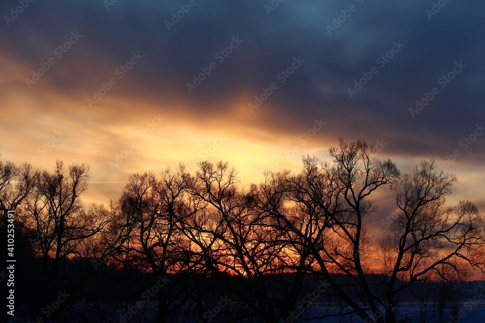 Colorful sunset behind the crowns of trees in winter Colorful sunset behind the crowns of trees in winter