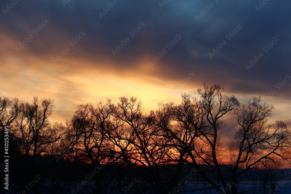 Colorful sunset behind the crowns of trees in winter