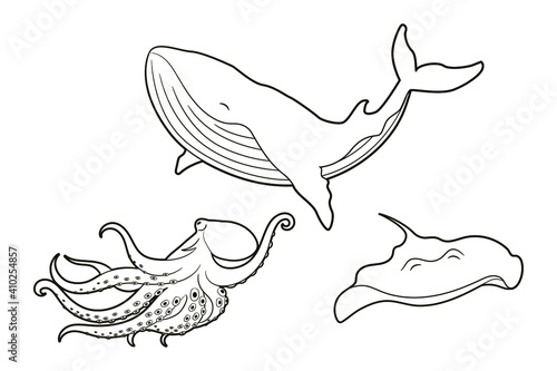 Coloring book - inhabitants of sea and ocean glebins - octopus, whale, stingray. Black and white isolated image line art, vector illustration, doodle, sketch