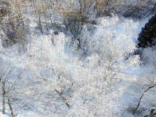 Winter landscape with birch trees covered hoarfrost, aerial view © mikeosphoto