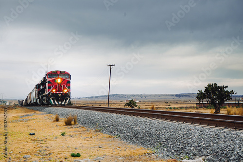 Loading treen in the field photo