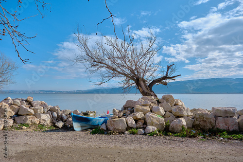 Blue color boats standing on the coast of uluabat lake with  huge mountain background with stones on the port and huge dried tree. 22.01.2021. Golyazi (Apolyont), Bursa, Turkey. photo