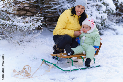 mother and child walks in the winter forest, mom rides a baby on a sled, bright snowy fir trees, beautiful nature