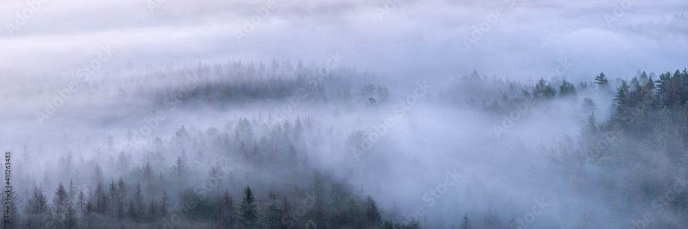View over endless forest covered by fog at dawn
