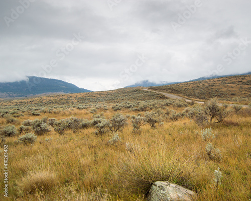 Landscape shot of grasslands with road and cloudy sky