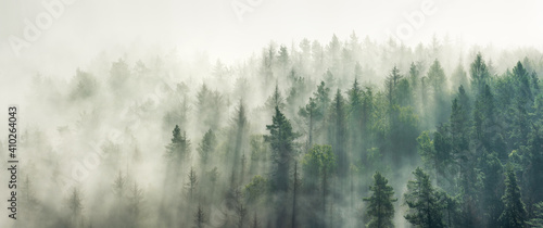 Fotografiet Panoramic view of forest with morning fog