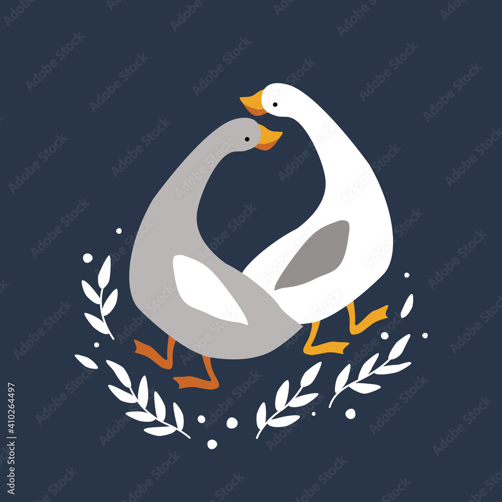 The geese look at each other. Poultry. The geese look at each other. Poultry.