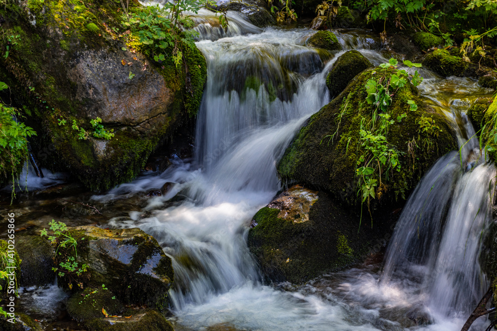 waterfall in the forest waterfall in the forest