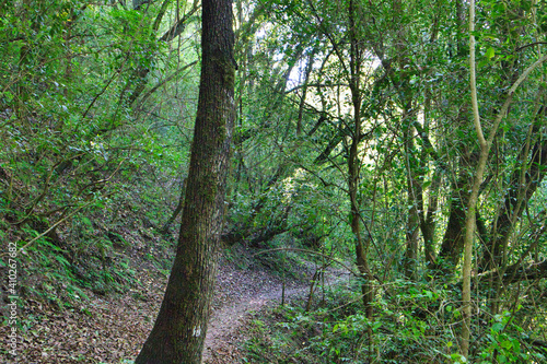 paisaje salta argenina montañas caminos photo