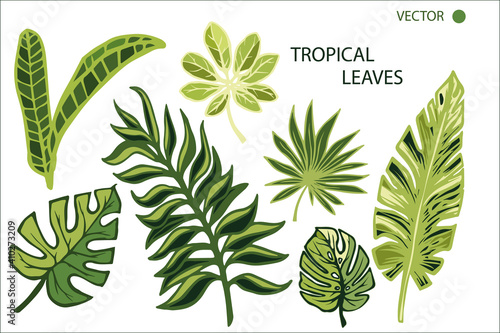 TROPICAL SET [преобразованный]