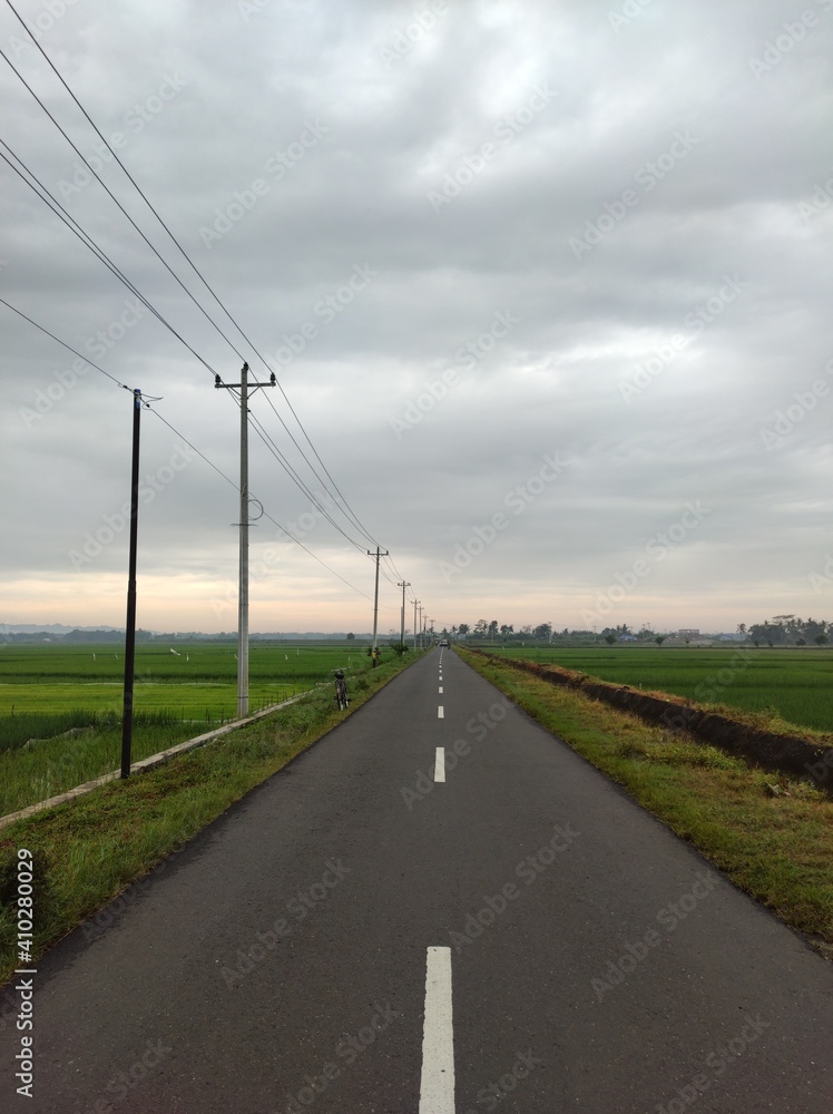 road in the middle rice fields