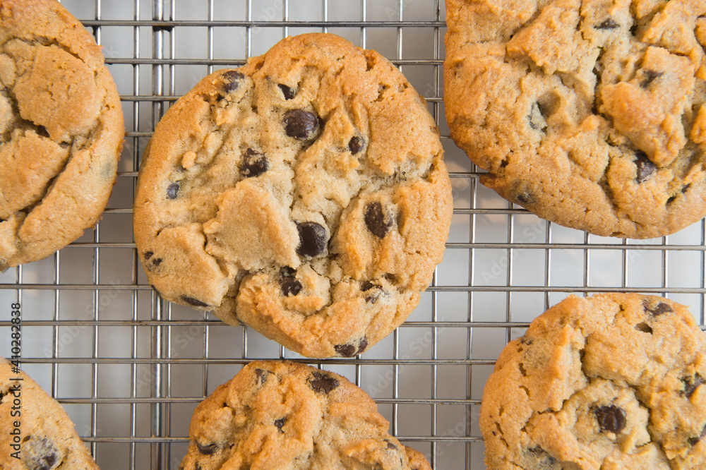 Studio shot of chocolate chip cookies Studio shot of chocolate chip cookies