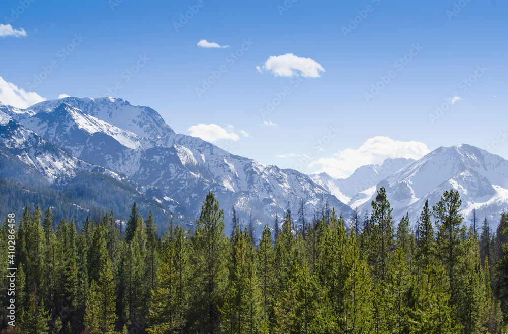 View of forest with Rocky Mountains in background View of forest with Rocky Mountains in background