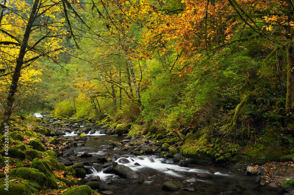 USA, Oregon, Eagle Creek USA, Oregon, Eagle Creek