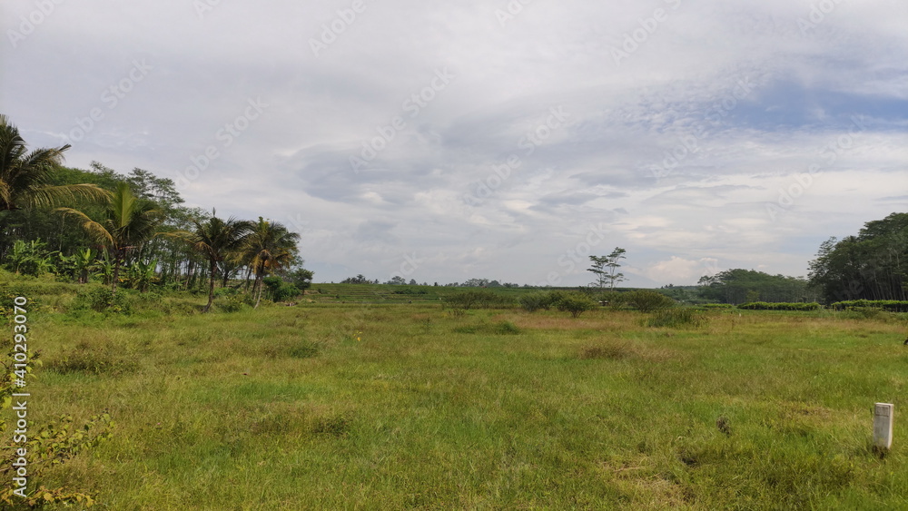 wide meadow with beautiful mountain views and cool wide meadow with beautiful mountain views and cool