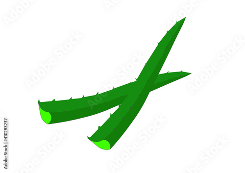 
Two stalks of aloe Vera on a white background