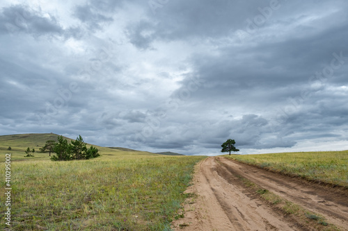 A lonely tree by the road against the backdrop of endless fields and hills on cloudy summer day on Olkhon island  Russia