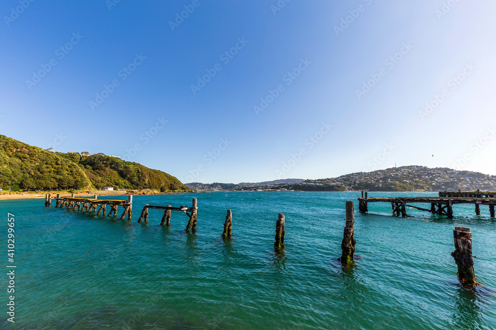 Landscape of Shelly Bay in Wellington, New Zealand