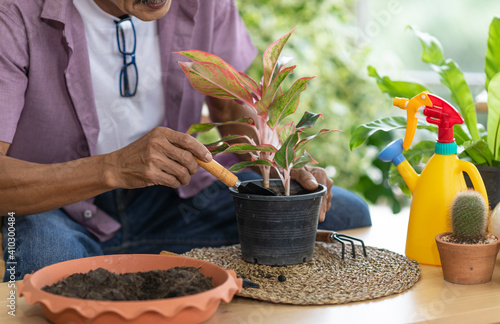 A senior Asian man working in a planting hobby room with happiness and concentrait. Idea for green lover who plants tree and botany in corner of the home. photo