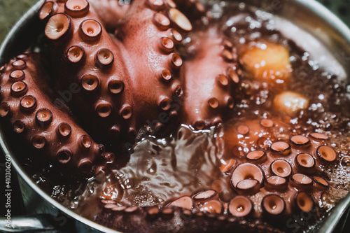 Gourmet seafood octopus. Octopus boiling in hot water pot, close-up.