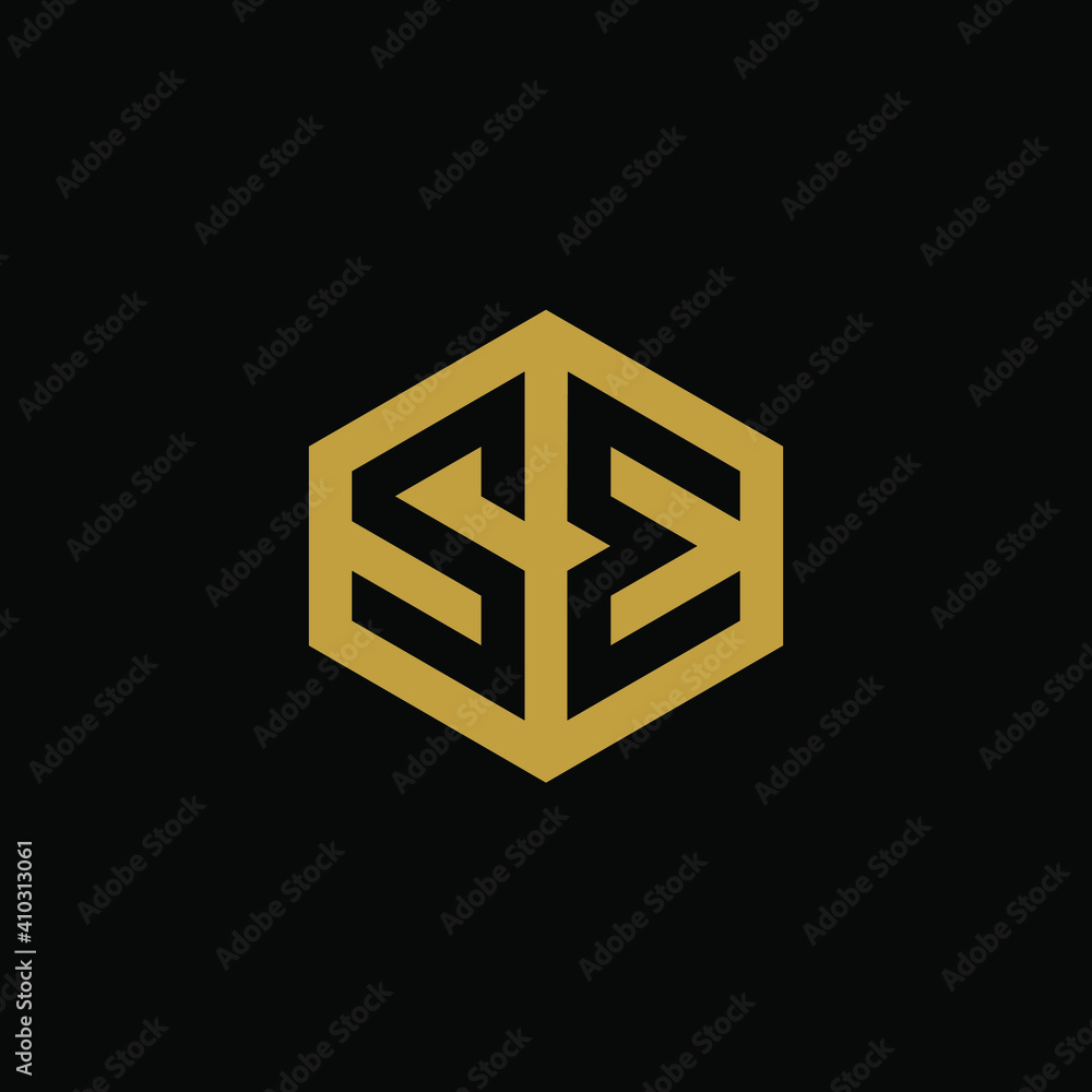 Initial letter SE hexagon logo design vector Initial letter SE hexagon logo design vector